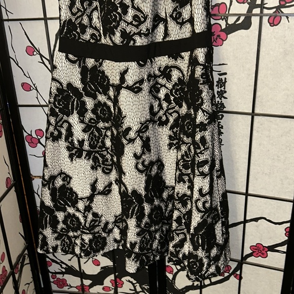NWT City Chic Pretty Lace dress in black and white - Picture 4 of 13